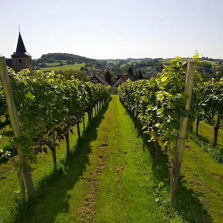Valkenburg Hotell Valkenburg aan de Geul