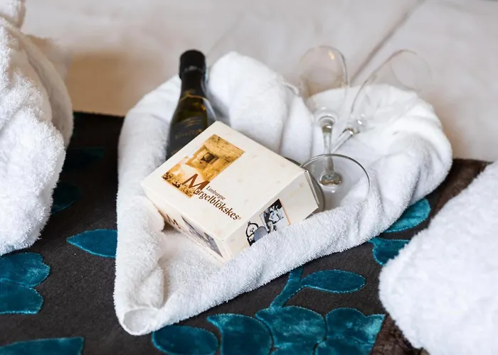 酒店 法尔肯堡别墅酒店 3*